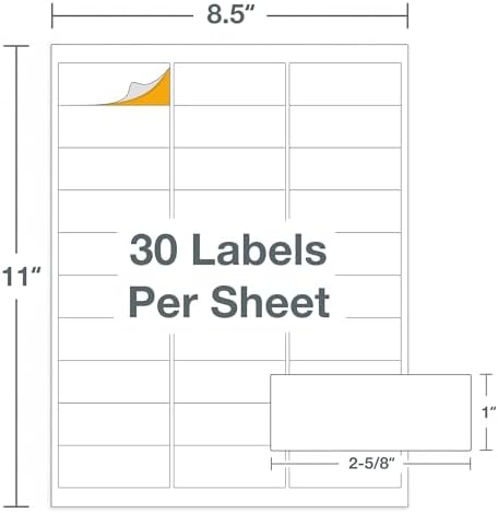 Printable Address Labels 1" x 2-5/8", 3000 Mailing Stickers, White