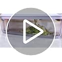 2-in-1 Vegetable Chopper, Box Chopper for Vegetables