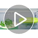 Fridgesmart Small 3/4 Qt 800ml Veggie Container