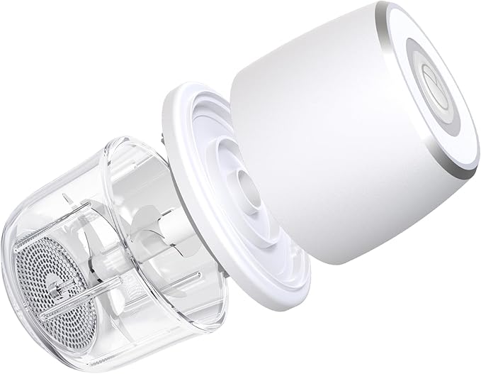 Electric Mini Garlic Chopper, Mini Food Chopper & 350ml Portable Cordless USB Rechargeable Garlic Chopper, Best Mini Chopper for Onion, Herb, Nut, Easy to Clean Glass Container (Witer)