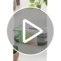 Produce Container, 3-Quart – Stay-Fresh Vent System for Small Peppers and Tomatoes, BPA-Free
