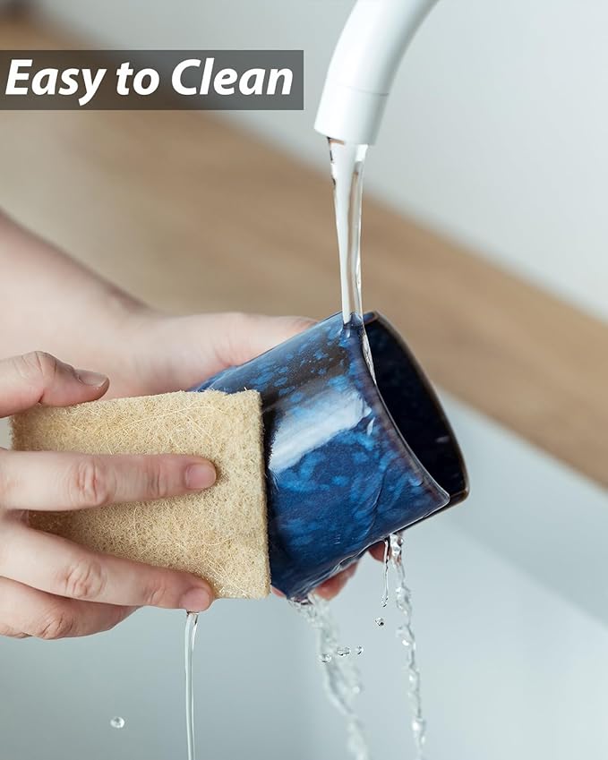 Zoeeker Kitchen Sponge Holder, Blue
