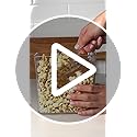 OXO Good Grips 3.0 Qt POP Medium Cookie Jar - Airtight Food Storage