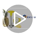 Pineapple Corer Cutter, Stainless Steel Fruit Peeler Slicer - Upgraded, Reinforced Thicker Blade, Core Remover with Measure Mark, Kitchen Tool for Diced Pineapple Rings