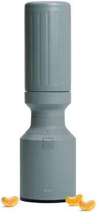 Beast Mini 600 Stainless Steel Countertop Blender, Mist, 600W by Unknown