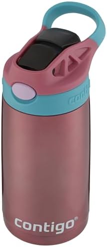 Kids Stainless Steel Water Bottle with AUTOSPOUT Straw, Punch, 13oz