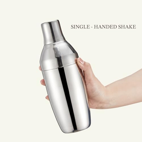 Cocktail Shaker Set with to-Go Carry Case & 2 Martini Glasses