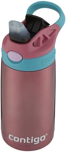 Kids Stainless Steel Water Bottle with AUTOSPOUT Straw, Punch, 13oz