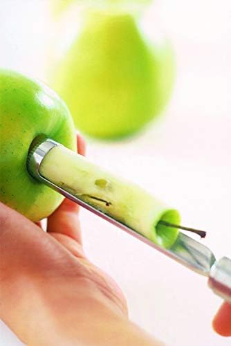 Stainless Steel Fruit Corer, 9-inch