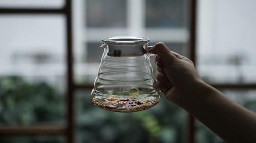 V60 Coffee Pour Over Kit - Includes 02 Ceramic Dripper, Glass Range Server, and 100ct Filters