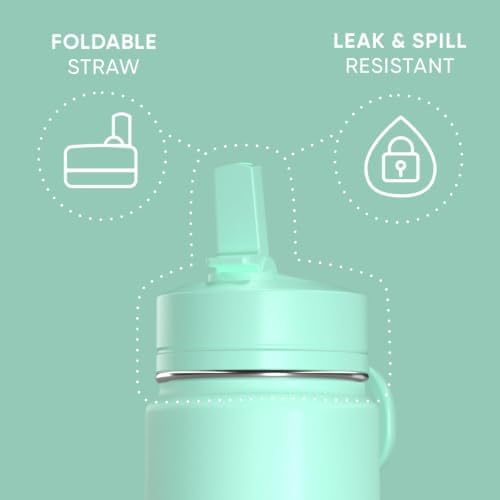 Mini 20oz Water Bottle with Straw Lid, Stainless Steel Double Wall Insulated | Leak-Proof and Spill-Proof Bottle for School, Kids, Cold 24 Hours (Alpine)