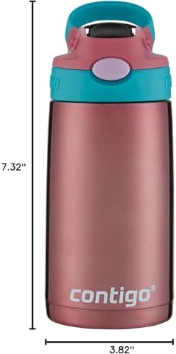Kids Stainless Steel Water Bottle with AUTOSPOUT Straw, Punch, 13oz