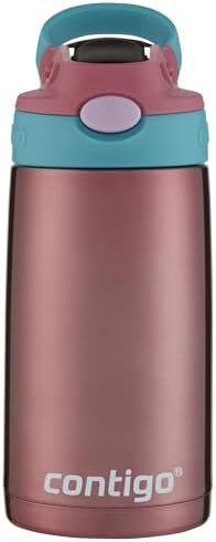 Kids Stainless Steel Water Bottle with AUTOSPOUT Straw, Punch, 13oz