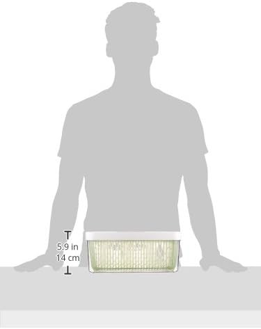 OXO GreenSaver Produce Keeper - Large - Green