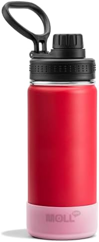 16 oz Stainless Steel Kids Water Bottle for School, Canyon Red