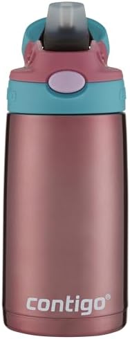 Kids Stainless Steel Water Bottle with AUTOSPOUT Straw, Punch, 13oz