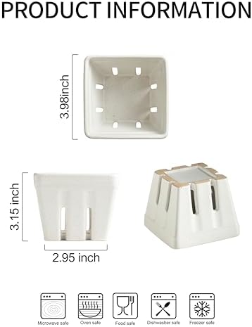 Ceramic Berry Bowl Set of 2 Square Strawberry Basket, Cream White