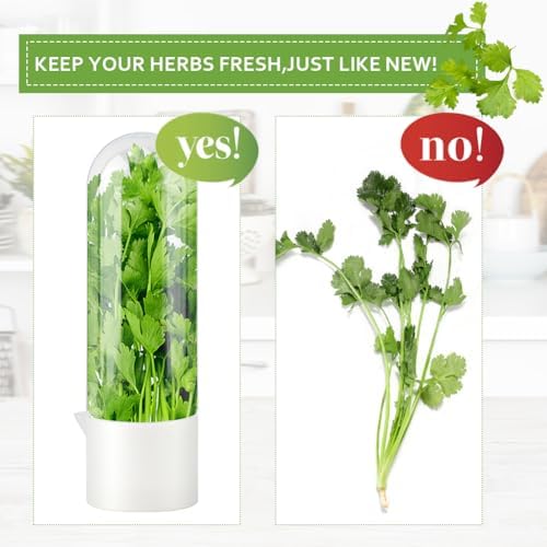 3 Pack Herb Keeper for Refrigerator, Fresh Herb Saver for Cilantro, Parsley