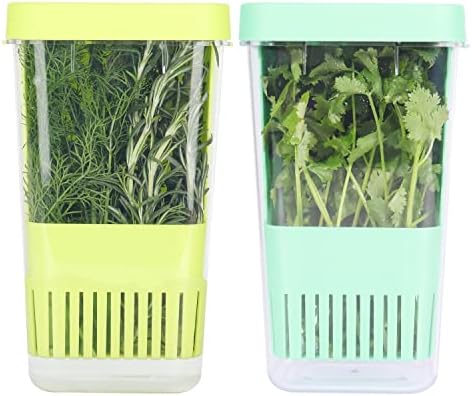 2 Pack Fresh Herb Keeper for Refrigerator, Clear BPA-Free Herb Saver, Storage Container for Cilantro, Parsley, Thyme, Mint & Asparagus, Preserver Keeps Fresh Herbs for 3 Times Longer