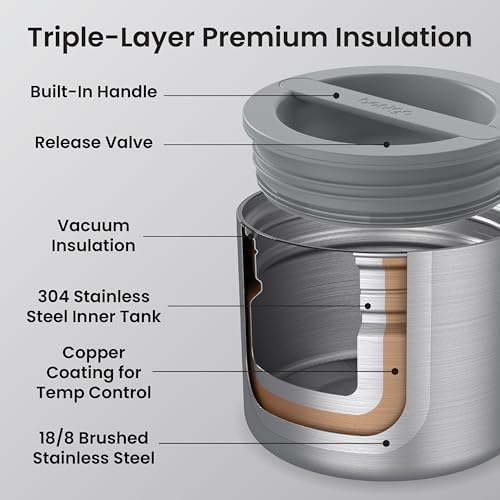 Stainless Steel Insulated Food Container, Leak-Proof, 19 fl oz
