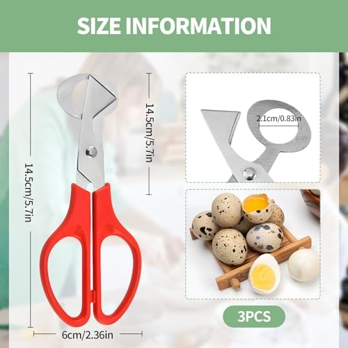 3PCS Quail Egg Scissors,Stainless Steel Quail Egg Cutter with Non-Slip Handle, Easy Egg Opening Tool for Quail, Ideal for Kitchen, Restaurant Use(3 Colors) - Image 2