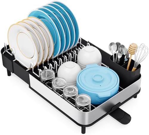 Stainless Steel Dish Drying Rack for Kitchen Counter,Black