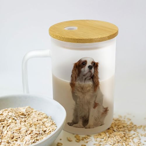 12 Pack Sublimation Glass Cup with Handle Frosted Sublimation Blank Beer Can Tumblers with Bamboo Lid and Straw for heat press 16oz