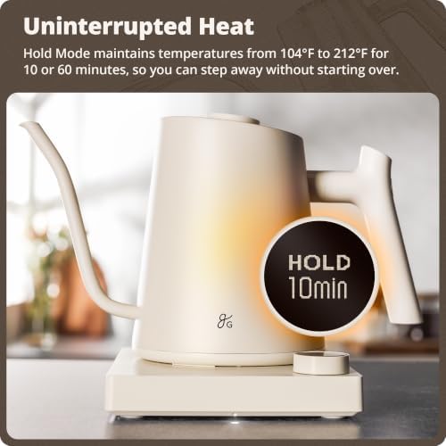 Gooseneck Electric Kettle, 1200W Temperature Control, 0.8L