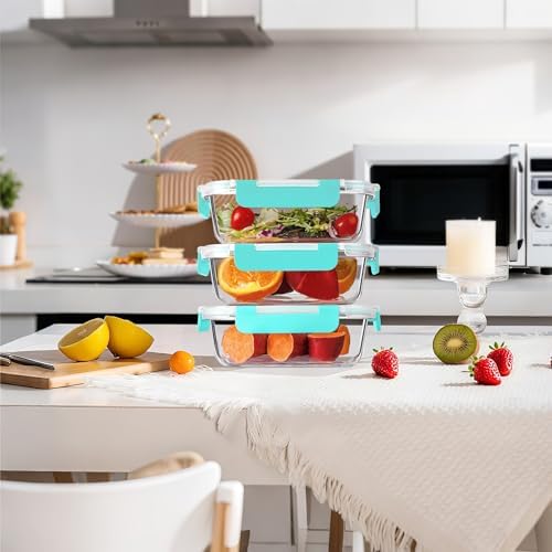 10 Pack 22 oz Glass Meal Prep Containers, Glass Food Storage Containers with Airtight Lids, BPA-Free, Freezer and Microwave Safe, Green