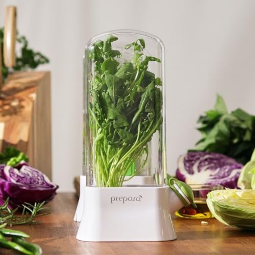 Herb Savor Eco, Fresh Herbs Storage Container, White/Green