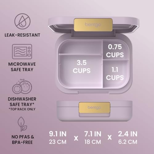 Modern Adult Bento Lunch Box with 3-4 Compartments