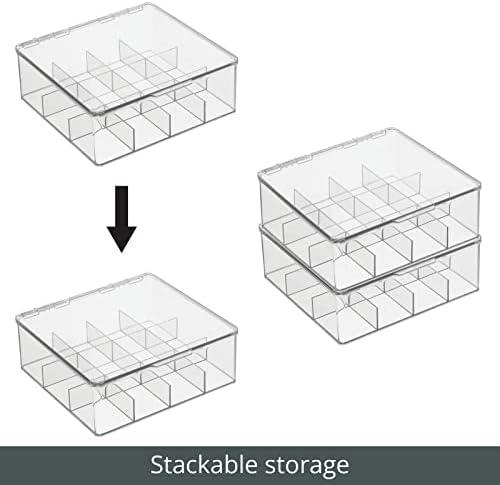 Plastic Kitchen Organiser — Practical Storage Box with 12 Compartments and Hinged Lid — Pantry Storage Box with Lid for Tea, Coffee, Spices and Other Foodstuffs — Clear