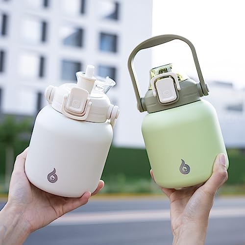 27oz Insulated Water Bottle with Straw Lid, Cute Stainless Bottle
