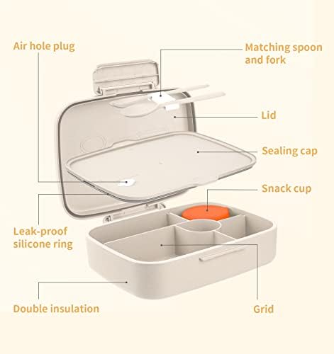 5 Compartments Kids/Adult Bento Lunch Box with Snack Cup