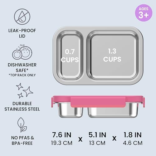 Stainless Steel Snack Box, Leak-Proof, 2 Compartments, 2-Cup Capacity