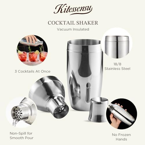Cocktail Shaker Set with to-Go Carry Case & 2 Martini Glasses
