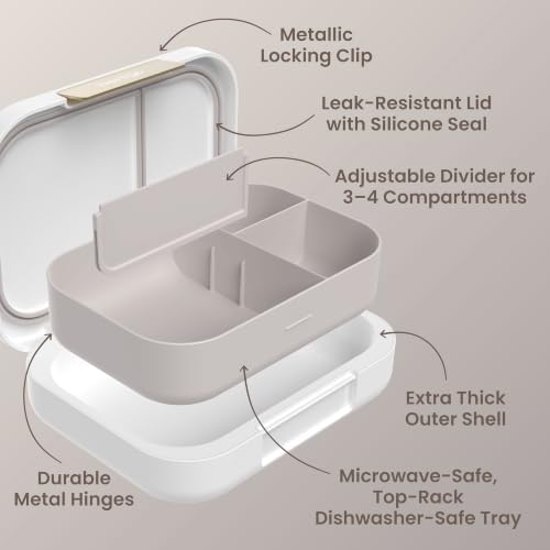 Modern Adult Bento Lunch Box with 3-4 Compartments