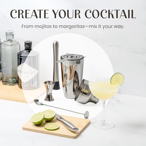Cocktail Shaker Set with Bamboo Stand - Professional 10-Piece Bartender Kit - Complete Bar Set & Cocktail Mixer Kit for Home (Silver)