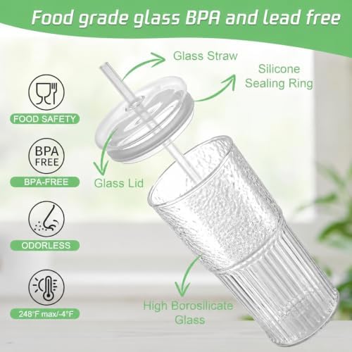 20 oz Glass Cups with Lids and Straws Set of 2, Ribbed Glass Coffee Cups for Iced Coffee, Matcha, Cold Brew, Smoothie, Boba, Reusable Clear Glass Tumbler with Cleaning Brush