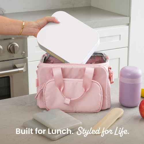 Modern Adult Bento Lunch Box with 3-4 Compartments