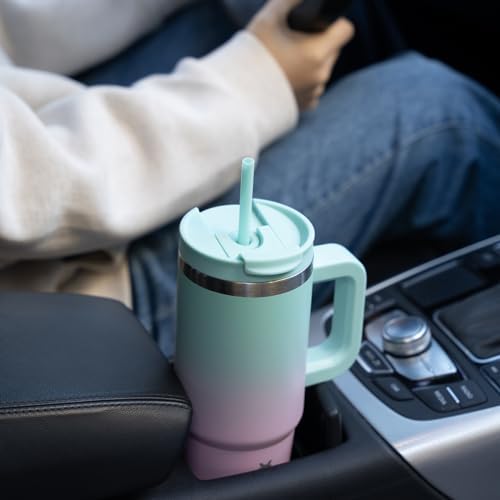30 oz Insulated Tumbler with Handle & Straw, Stainless Steel