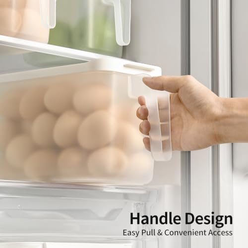 2 Pack 135oz Clear Egg Storage Containers with Handle, Airtight