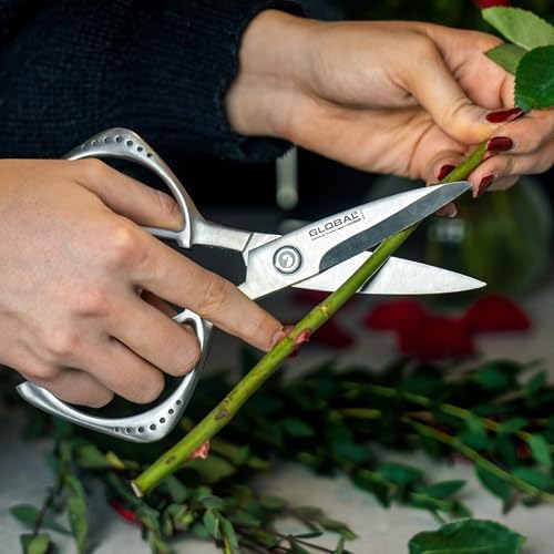 Cutlery-shears, Stainless