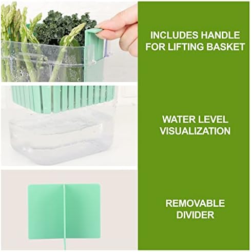 2 Pack Fresh Herb Keeper for Refrigerator, Clear BPA-Free Herb Saver, Storage Container for Cilantro, Parsley, Thyme, Mint & Asparagus, Preserver Keeps Fresh Herbs for 3 Times Longer