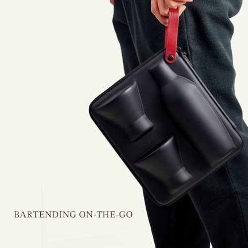 Cocktail Shaker Set with to-Go Carry Case & 2 Martini Glasses
