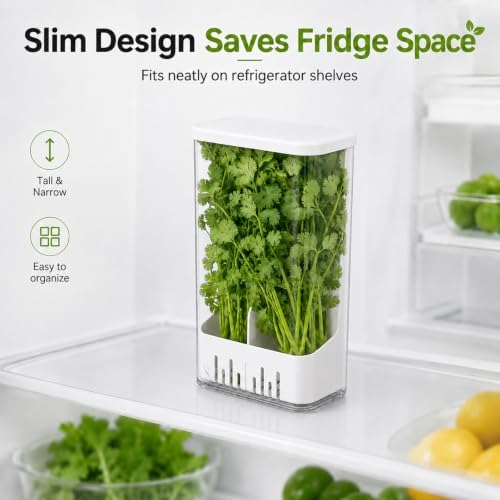 Herb Keeper Storage Container, Divided Removable Partition Herb Saver