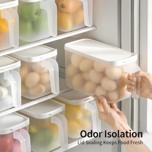 2 Pack 135oz Clear Egg Storage Containers with Handle, Airtight
