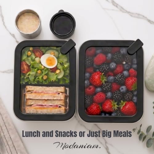 Stainless Steel Bento Box Adult, 40 OZ & 27 OZ Lunch Box Containers with Tempered Glass Lids, Meal Prep - Black