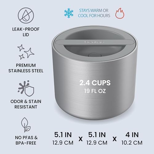 Stainless Steel Insulated Food Container, Leak-Proof, 19 fl oz