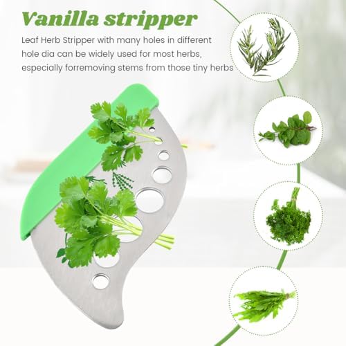 3Pcs Refrigerator Herb Keeper Containers,Herb Saver Jars with Herb Stripper